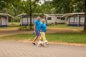 Komfortcamping Senftenberger See - Mietwohnwagen im Schatten unter Bäumen am See auf dem Campingplatz