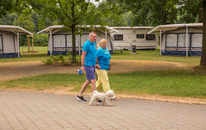 Komfortcamping Senftenberger See