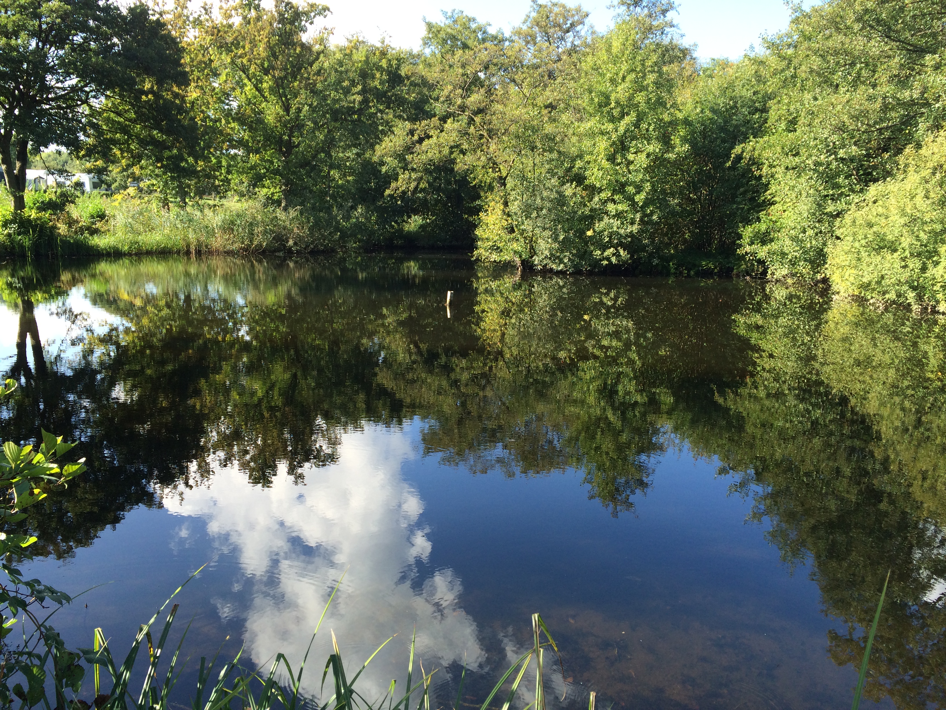Kongshøj Strand Camping
