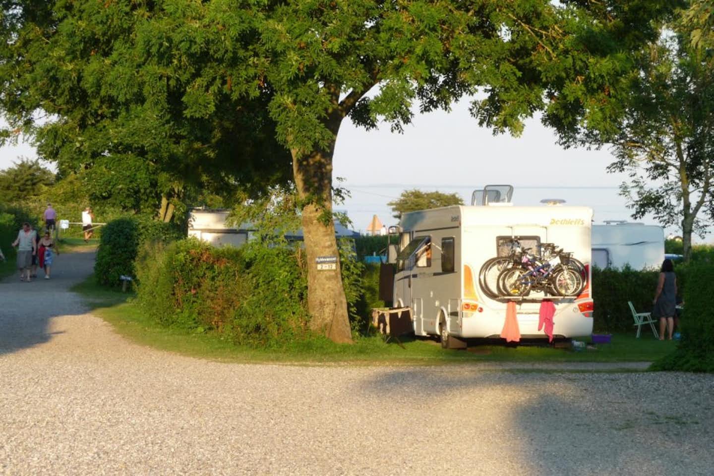 Kongshøj Strand Camping -  Wohnwagen- und Zeltstellplatz im Grünen am Meer