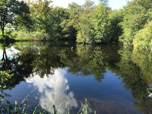 Kongshøj Strand Camping