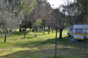 Kum Hotel Camping - Stellplatz vom Campingplatz im Grünen