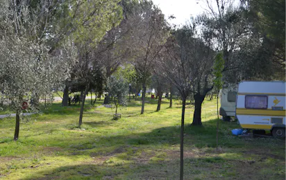 Kum Hotel Camping