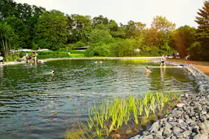 See am Campingplatz mit steinigem Ufer, Schilf am Rand und Bäumen im Hintergrund, im Wasser schwimmen Personen.
