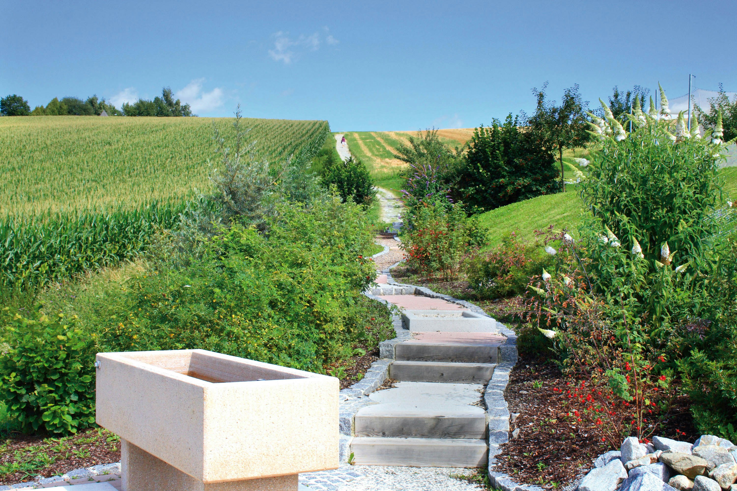 Kur- & Feriencamping Holmernhof's Dreiquellenbad  - Geweg auf dem Campingplatz entlang grüner Wiesen