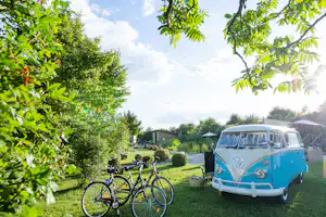 Kur- und Feriencamping Max 1 - Standplatz mit VW Bus und Fahrrädern