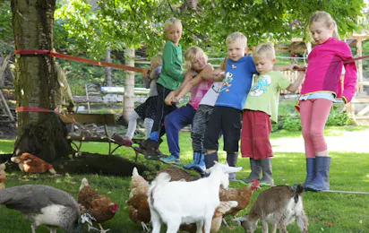 Harzer Feriengarten - Kurcamping
