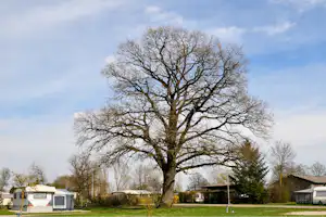 Kurcamping Preishof - der Park in der Mitte des Campingplatzes