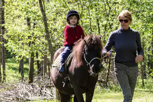 Flower Camping L' Arize - Pony auf dem Campingplatz