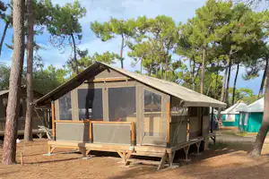 Campingzelt auf Holzpodest mit Veranda, umgeben von Kiefern und trockenem Boden auf dem Stellplatz.