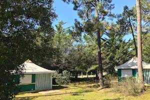 Zwei Campingzelte auf einem Rasenplatz im Wald, umgeben von Bäumen und einem schattigen Weg.