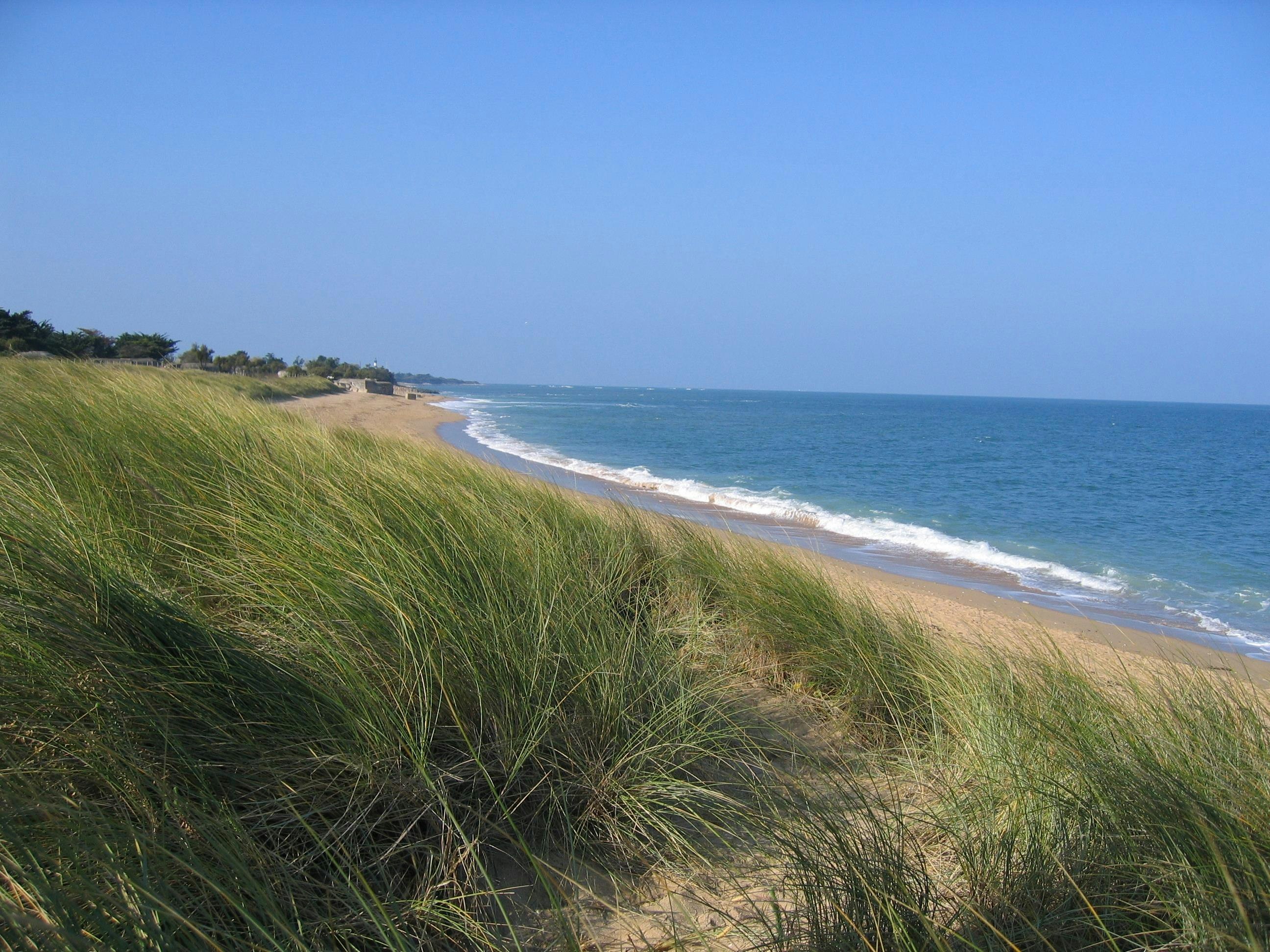 Siblu Camping La Pignade - Blick auf den Strand am Campingplatz