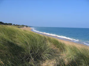Siblu Camping La Pignade - Blick auf den Strand am Campingplatz