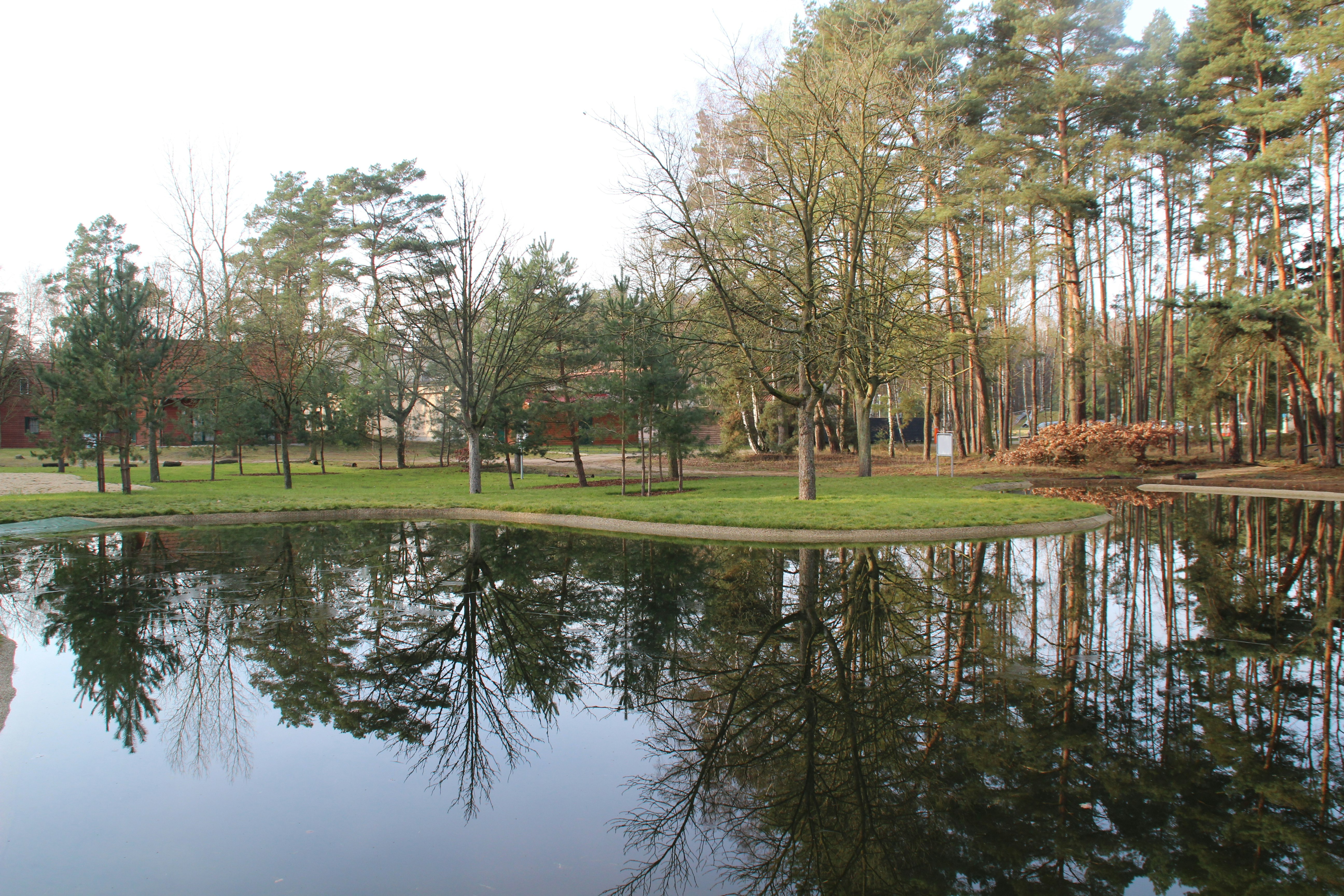 Ruhiger Campingsee mit Spiegelungen von Bäumen und Wald im Hintergrund, am Ufer grünes Gras.