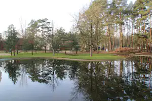 Ruhiger Campingsee mit Spiegelungen von Bäumen und Wald im Hintergrund, am Ufer grünes Gras.
