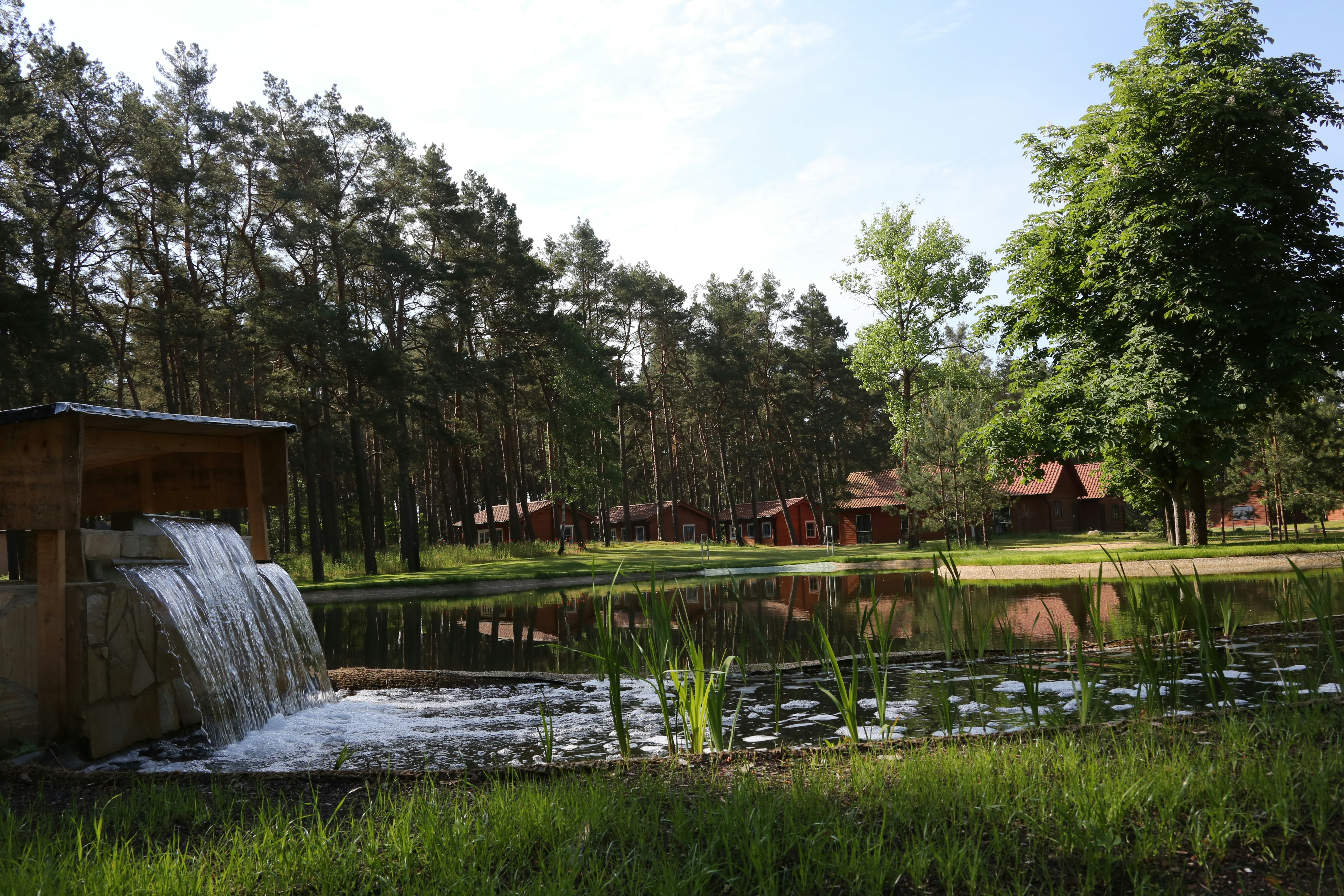 Teich mit kleinem Wasserfall, umgeben von Gras und Schilf, dahinter Bäume und Holzhäuser auf dem Campingplatz.