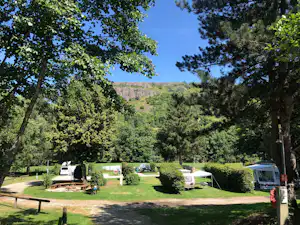 Campingplatz im Grünen mit mehreren Wohnwagen auf Stellplätzen, umgeben von Bäumen und Rasenflächen.