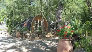 Zelt auf einem Campingplatz im Grünen, umgeben von Bäumen, mit Steinumrandung und Blumen in großen Töpfen.