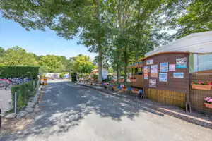 Campingplatz-Weg mit Werbetafeln an einem Holzgebäude, Bäume und Fahrräder am Rand, ruhige Zufahrt.