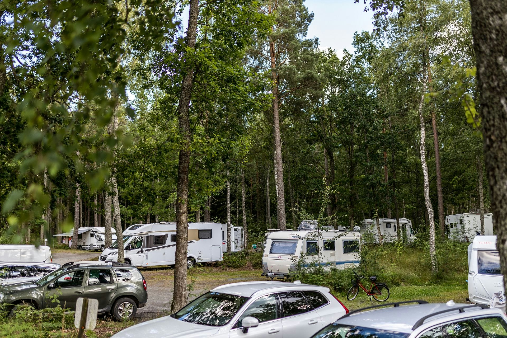 Wohnmobile und Autos auf einem Campingplatz im Wald zwischen hohen Bäumen, mit Stellplätzen und Wegen.