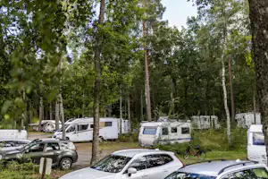 Wohnmobile und Autos auf einem Campingplatz im Wald zwischen hohen Bäumen, mit Stellplätzen und Wegen.