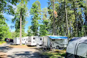 Läckö Strand - Standplätze zwischen den Bäumen auf dem Campingplatz
