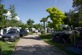 Lagocamp