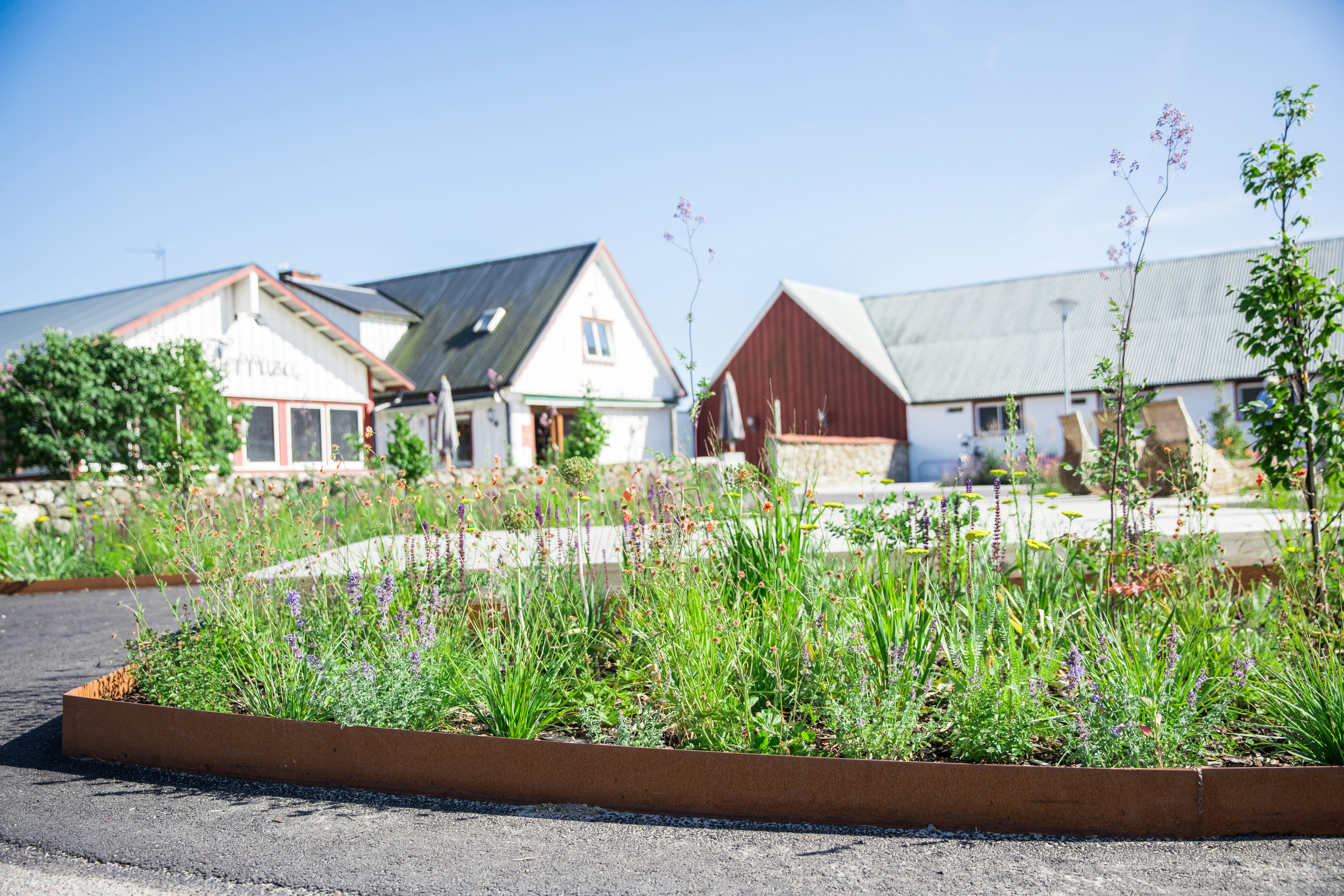 Läjet Camping & Resort  - Stellplätze auf dem Campingplatz