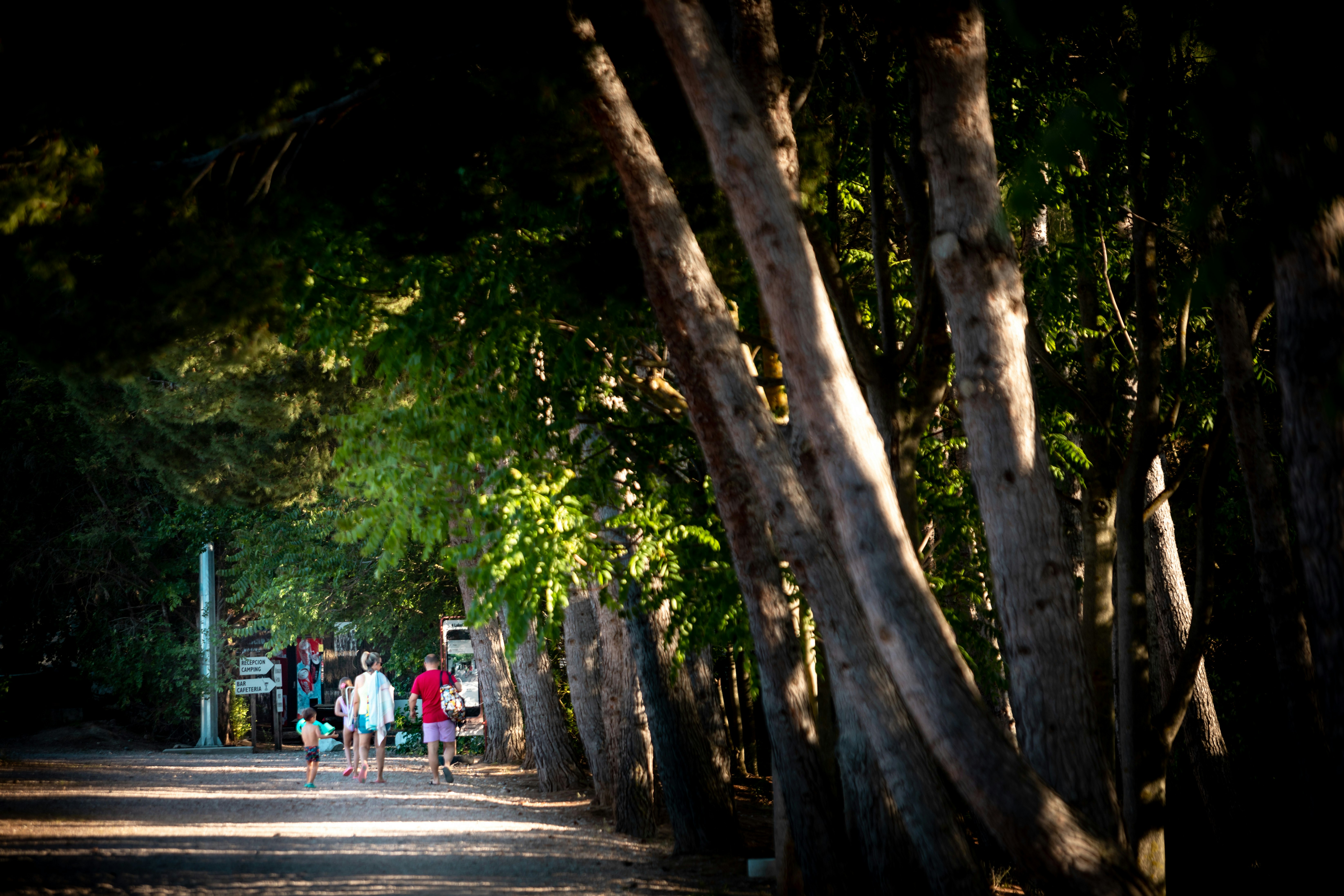 TAIGA Lake Caspe   Camping Lake Caspe - Blick auf den Campingplatz