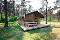 Landal Coldenhove  -  Camper auf der Veranda vom Mobilheim auf dem Campingplatz zwischen Bäumen