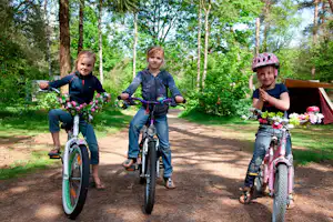 Drei Kinder fahren mit Fahrrädern auf einem Waldweg am Campingplatz, im Hintergrund Zelt und Bäume.