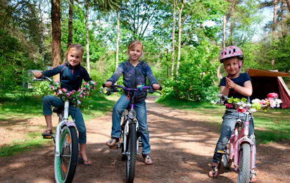 Camping Coldenhove