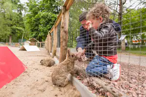 Landal Rabbit Hill - Camper am Streichelzoo vom Campingplatz