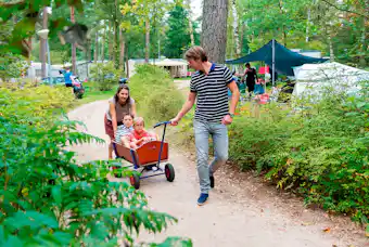 Camping Rabbit Hill
