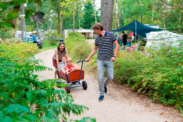 Camping Rabbit Hill