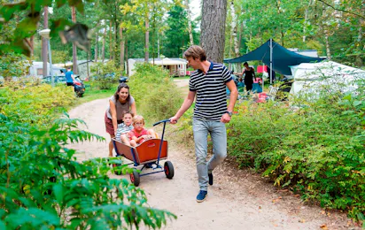Camping Rabbit Hill