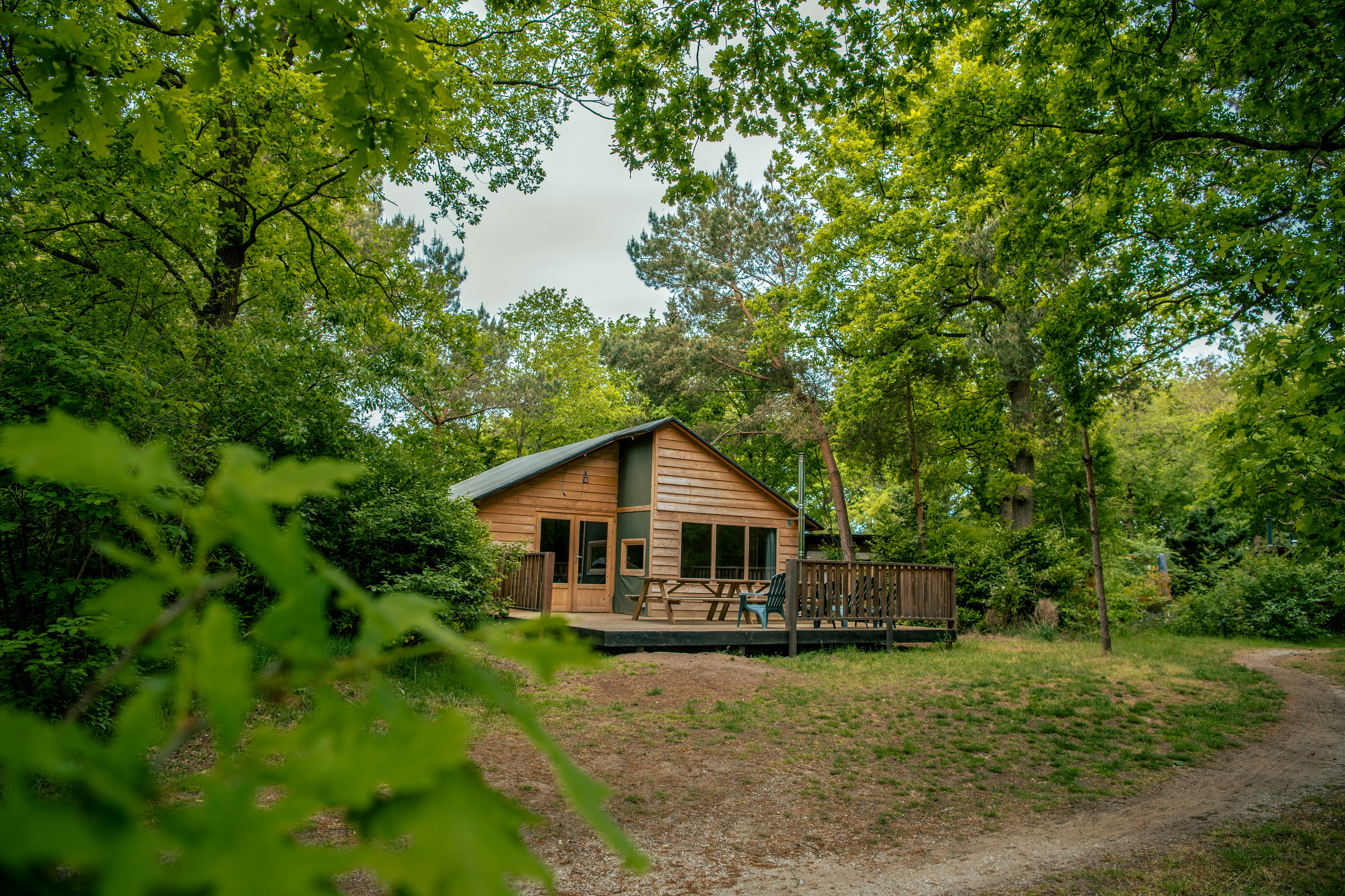 EuroParcs Ruinen  Landclub Camping Ruinen - Mobilheim mit Terrasse im Grünen