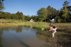 Zelte am Seeufer im Grünen, Kinder mit Kescher am Wasser, Bäume und Wiese im Hintergrund.