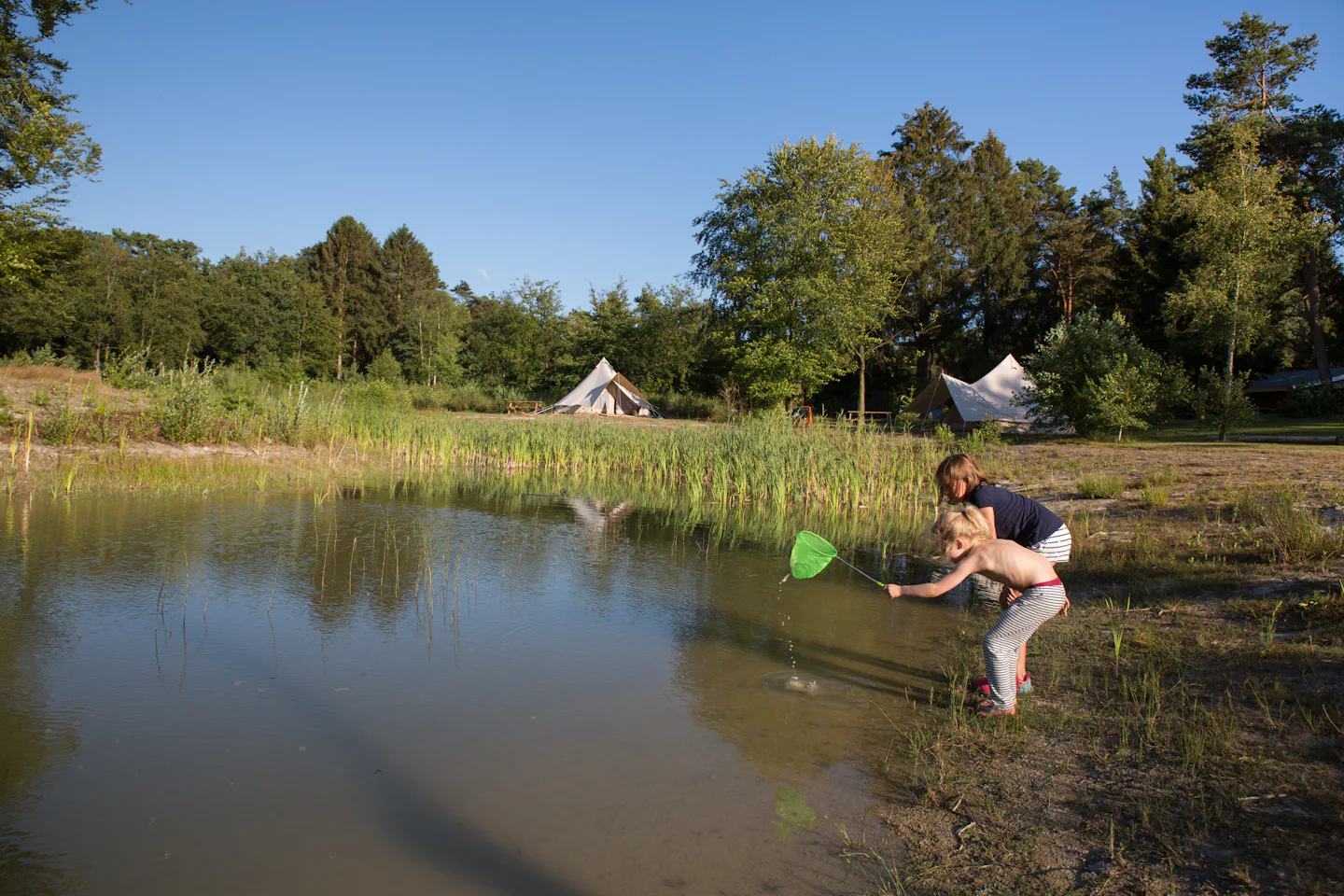 Landgoed Börkerheide