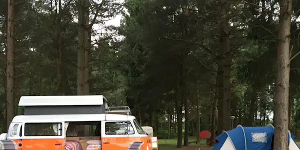 Landgoed Börkerheide