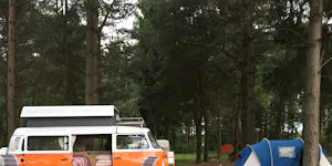 Landgoed Börkerheide - Wohnwagen und Zelt in einem Waldstück auf dem Campingplatz