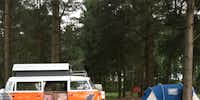 Landgoed Börkerheide - Wohnwagen und Zelt in einem Waldstück auf dem Campingplatz