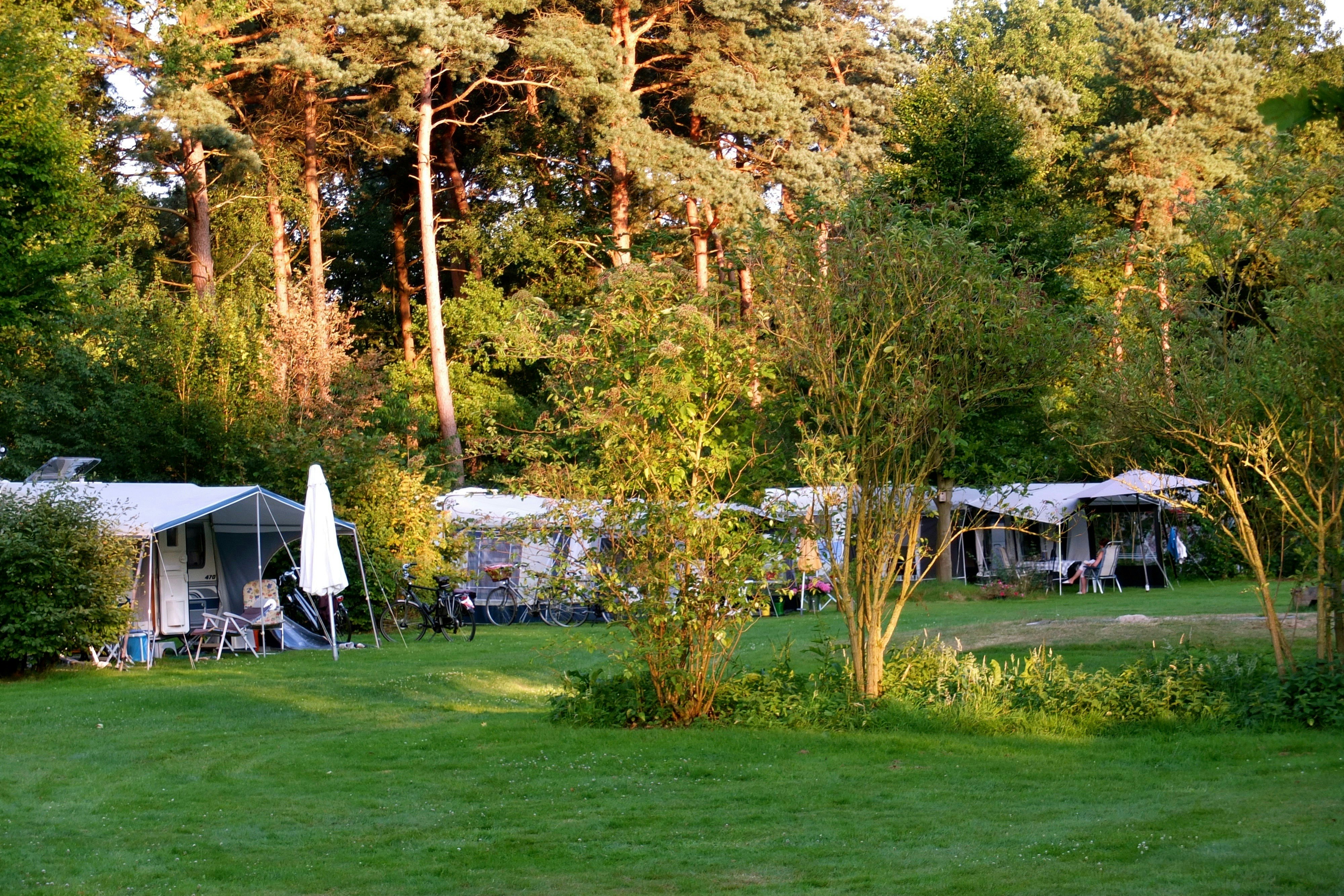 Landgoed Börkerheide - Wohnwagen- und Zeltstellplatz vom Campingplatz im Grünen