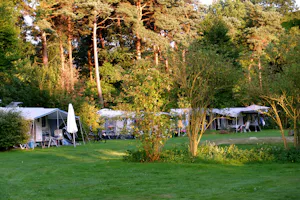 Landgoed Börkerheide - Wohnwagen- und Zeltstellplatz vom Campingplatz im Grünen