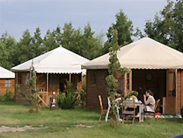 Landgoed Camping Twistvliet