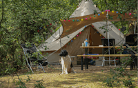 Landgoedcamping Het Meuleman - Hunde willkommen auf dem Campingplatz