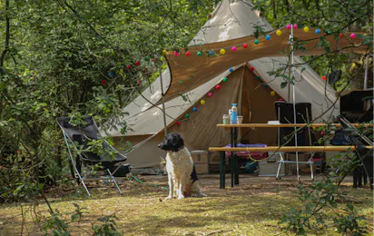 Landgoedcamping Het Meuleman