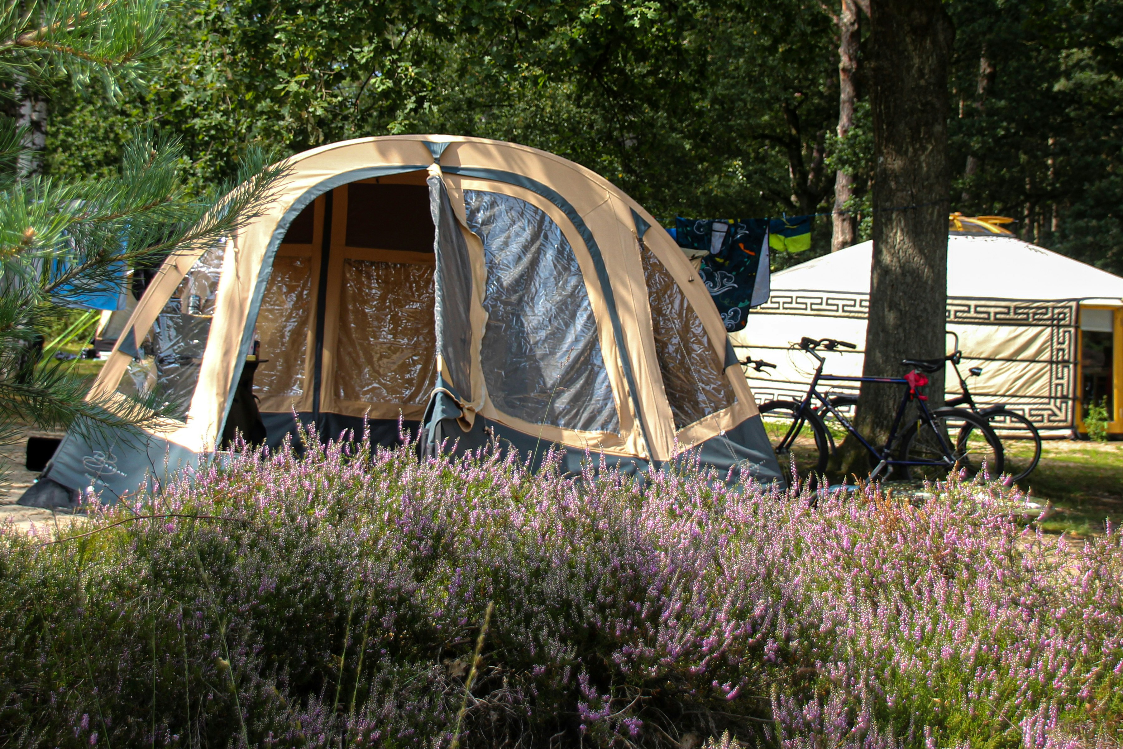 Landgoedcamping Het Meuleman - Zeltplatz im Schatten der Bäume