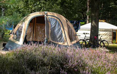Landgoedcamping Het Meuleman