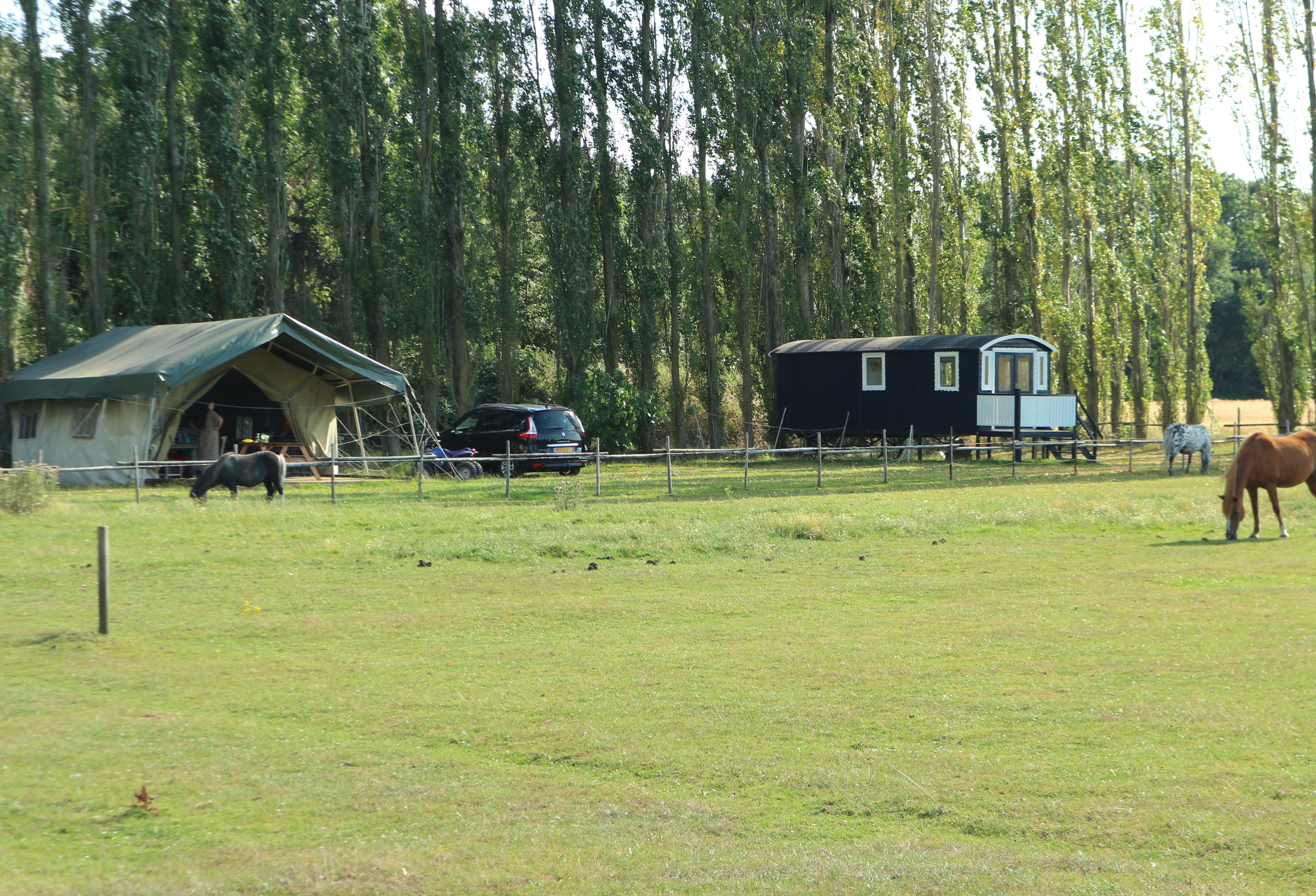 Pipowagen & Kampeerhoeve 's Gravenhof